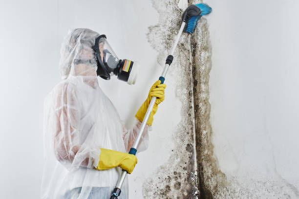 Asbestos and Lead Testing During Mold Inspection in San Joaquin, CA